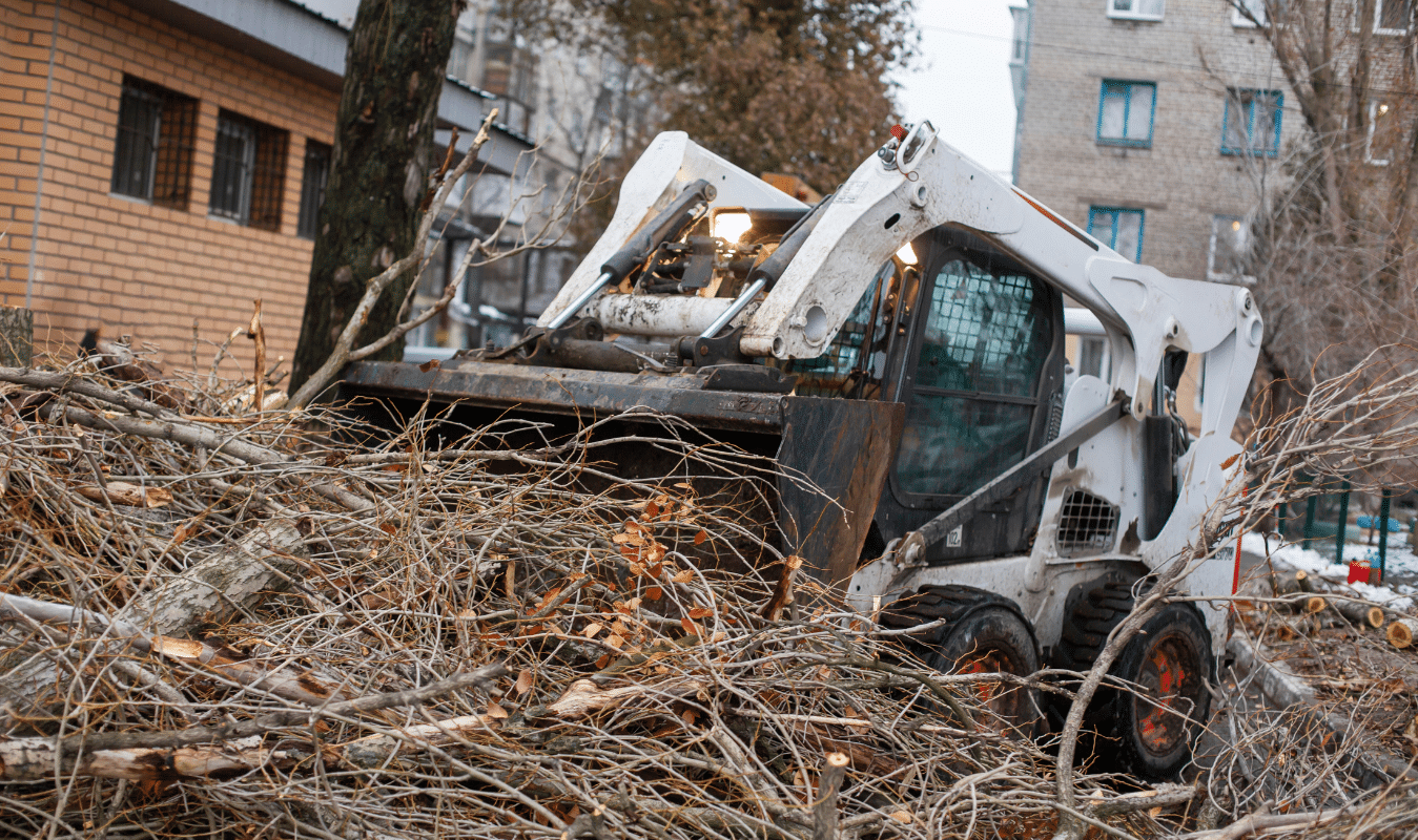 Emergency Tree Removal