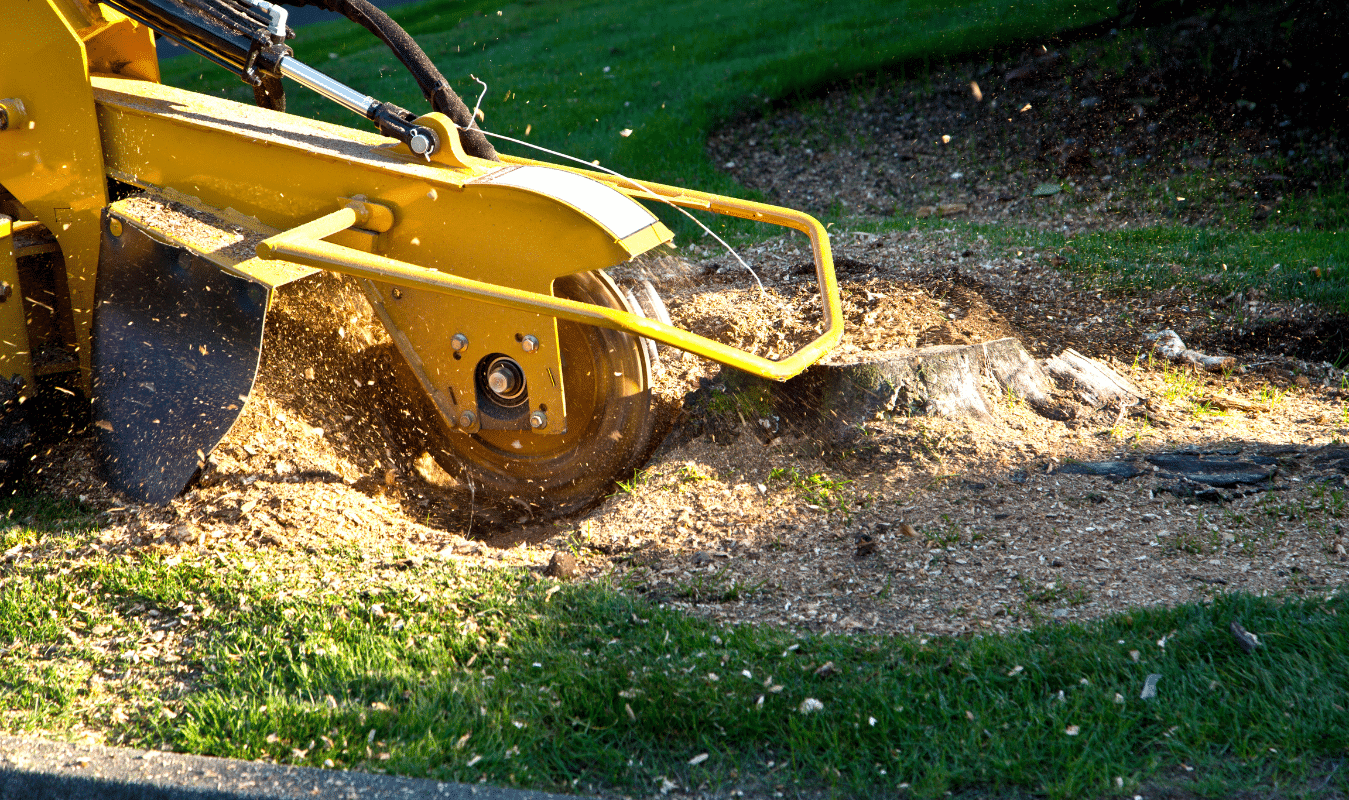 Tree Stump Removal
