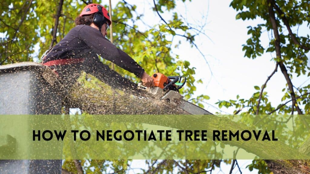 How to Negotiate Tree Removal