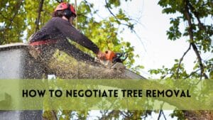 How to Negotiate Tree Removal
