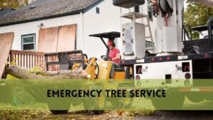 Emergency Tree Service